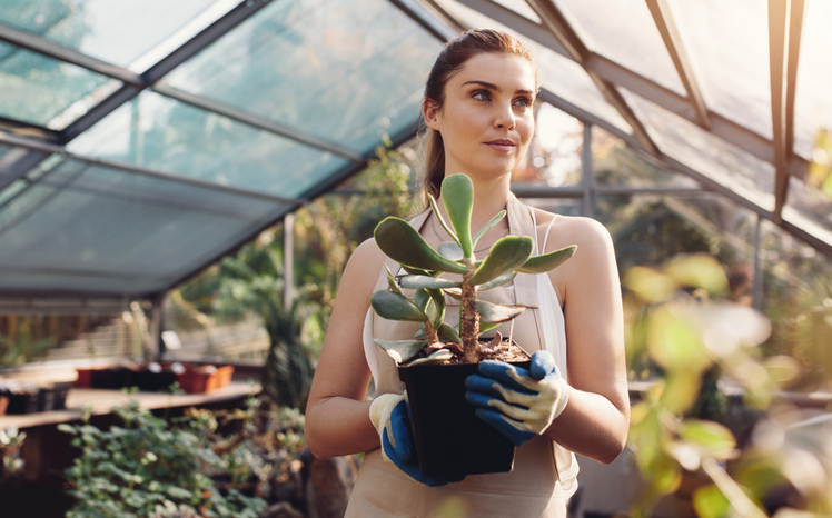 Créez un jardin d'hiver dans votre véranda